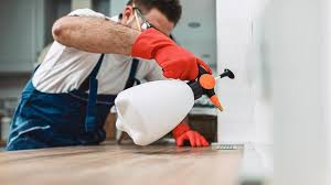 Best Residential Pest Control  in Fairfield, IL